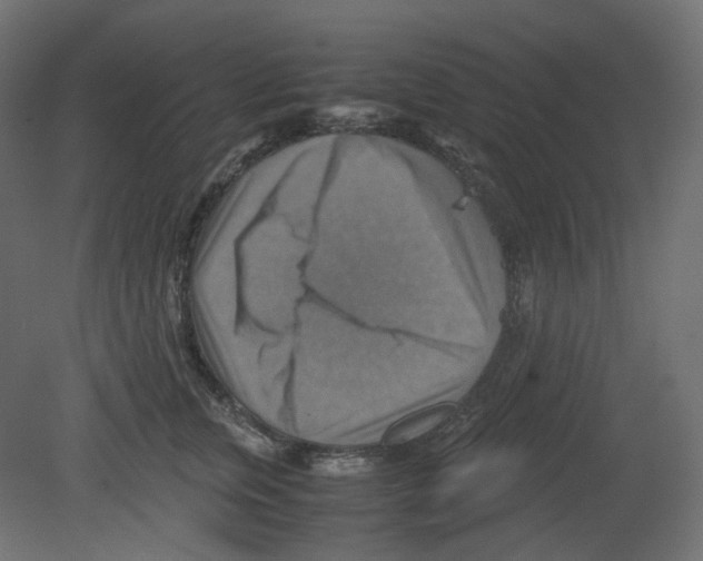 X0000080660759200701121606