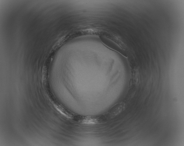 X0000080660760200701121606