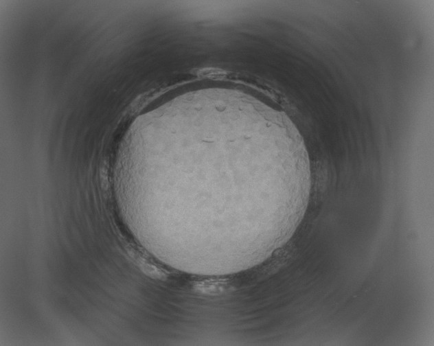 X0000080660761200701121606