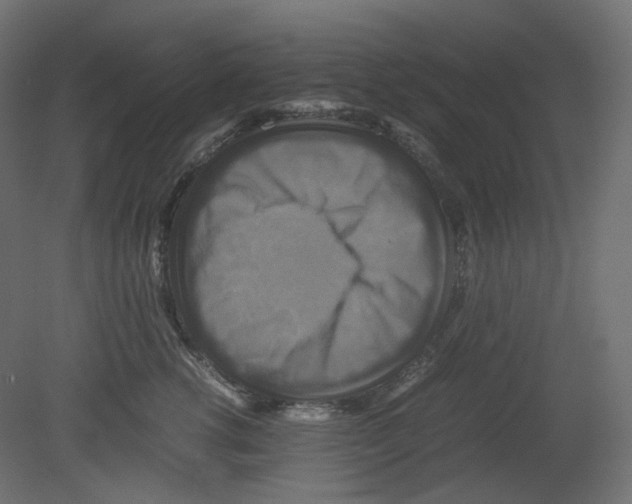 X0000080660762200701121606