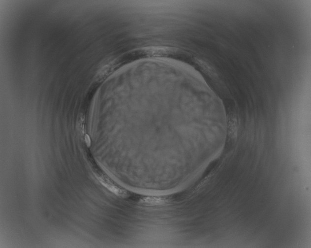 X0000080660766200701121606