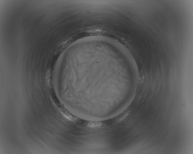 X0000080660767200701121606