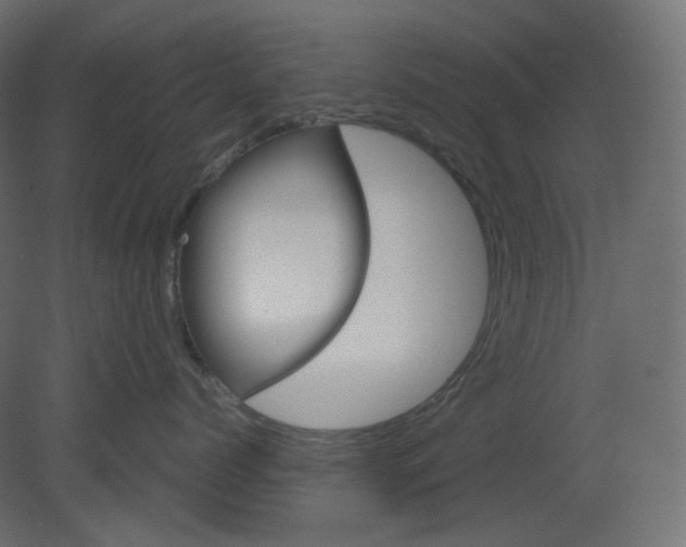 X0000080660768200701121606