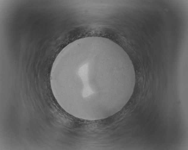 X0000080660769200701121605