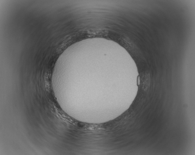 X0000080660770200701121605