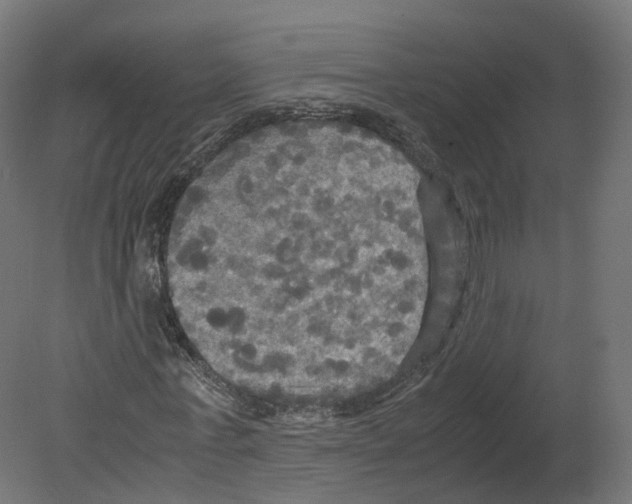 X0000080660771200701121605