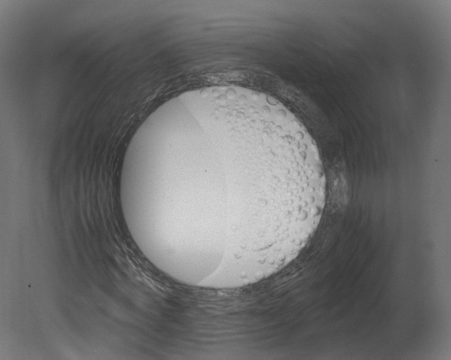 X0000080660772200701121605