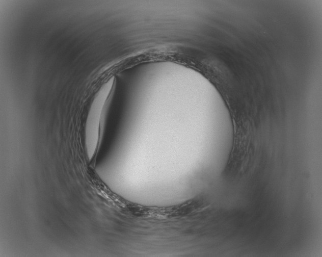 X0000080660773200701121605