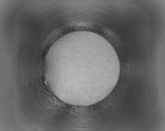 X0000080660774200701121605