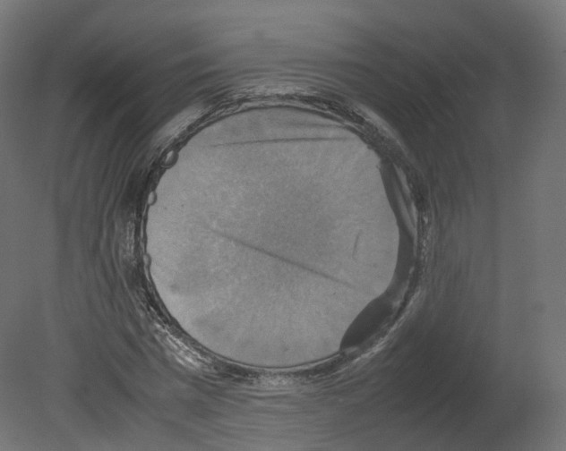 X0000080660777200701121605