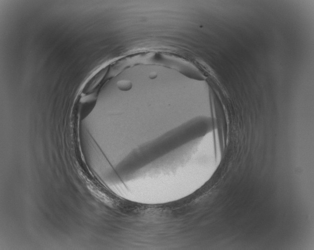 X0000080660779200701121605