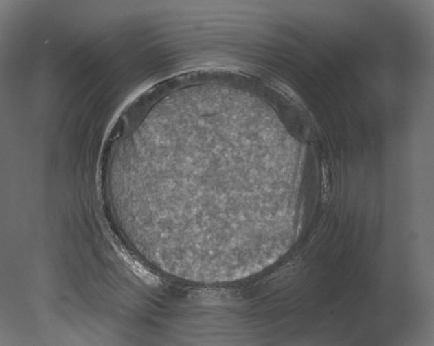 X0000080660780200701121605