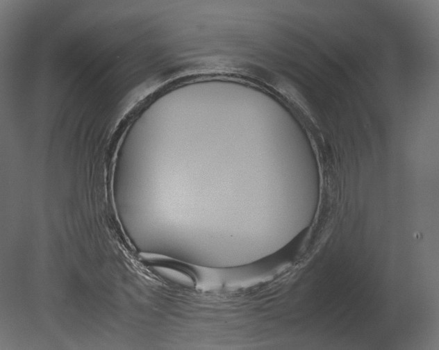 X0000080660781200701121605