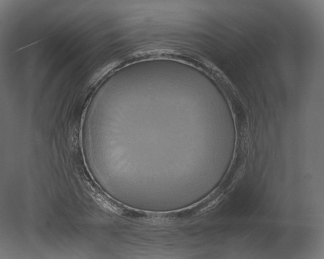 X0000080660785200701121605