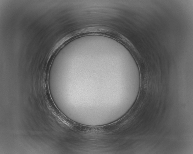 X0000080660786200701121605