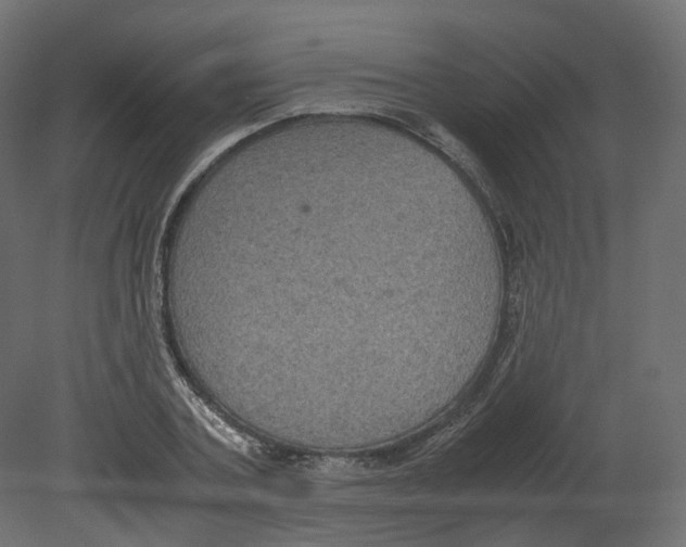 X0000080660787200701121605