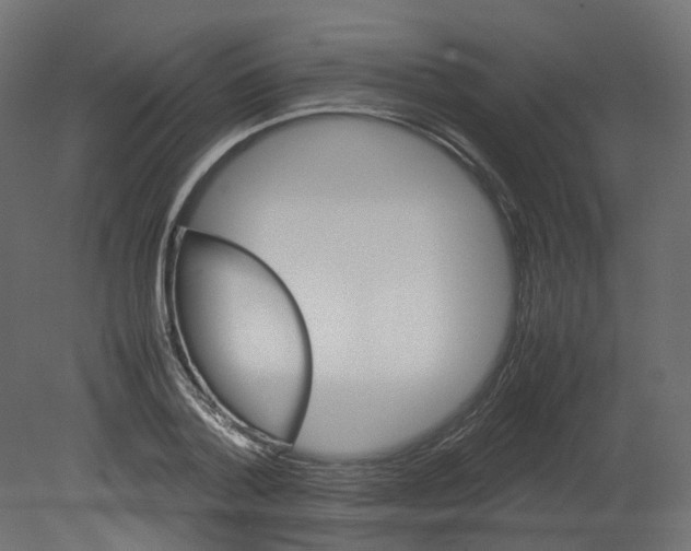 X0000080660788200701121605