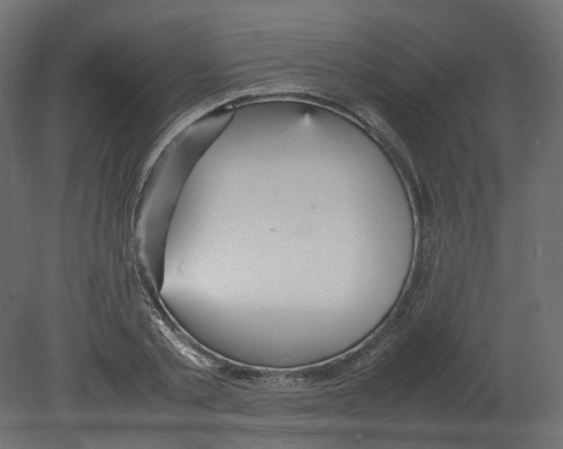 X0000080660789200701121605