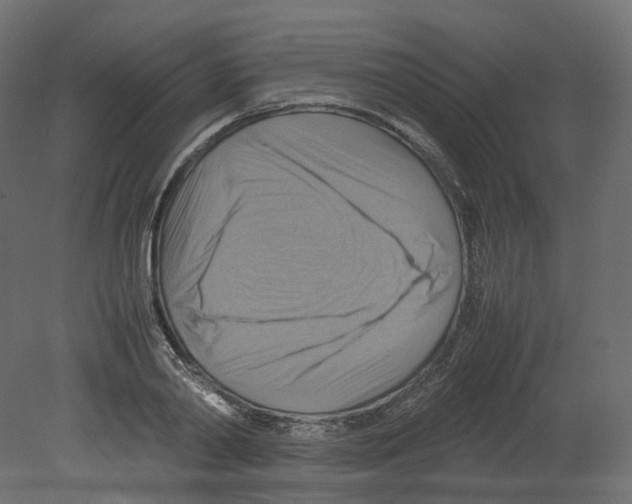 X0000080660790200701121605