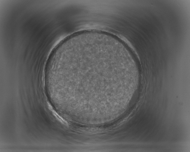 X0000080660791200701121605