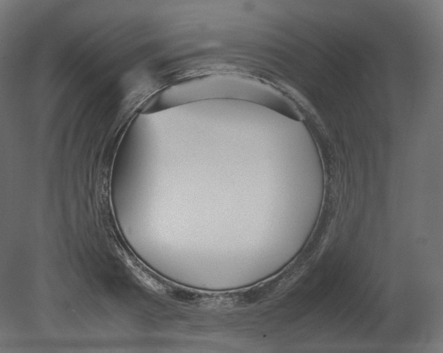 X0000080660793200701121605