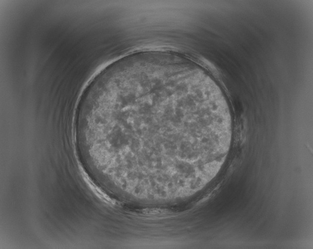 X0000080660795200701121605