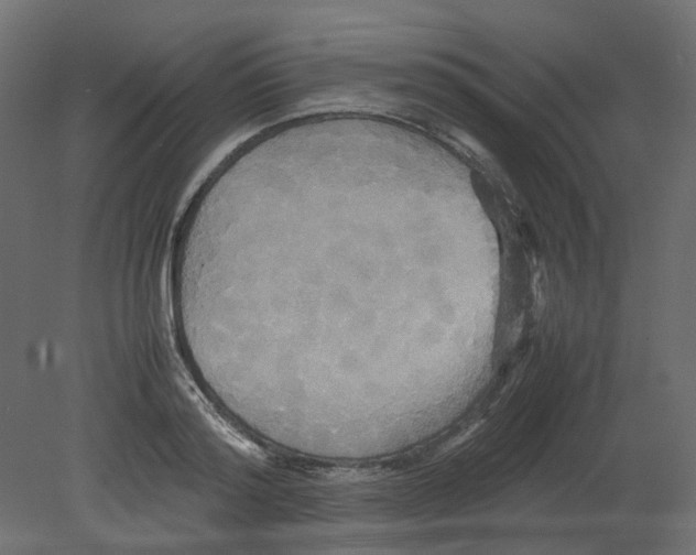 X0000080660796200701121605