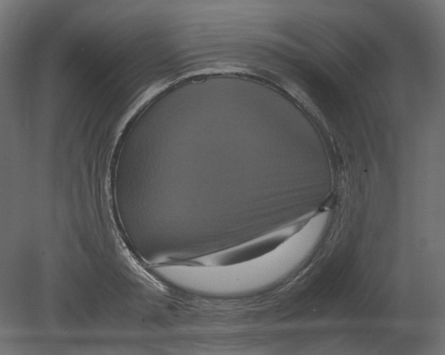 X0000080660797200701121605