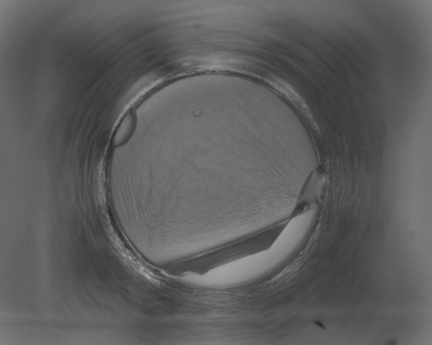 X0000080660798200701121605