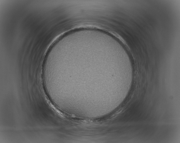 X0000080660799200701121605