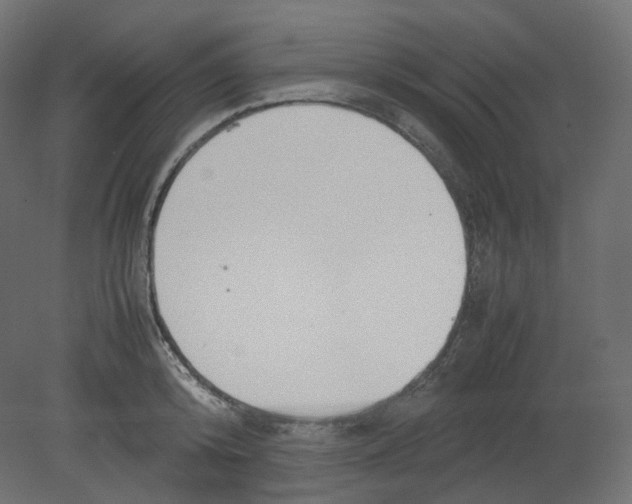 X0000080660800200701121605