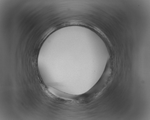 X0000080660801200701121605