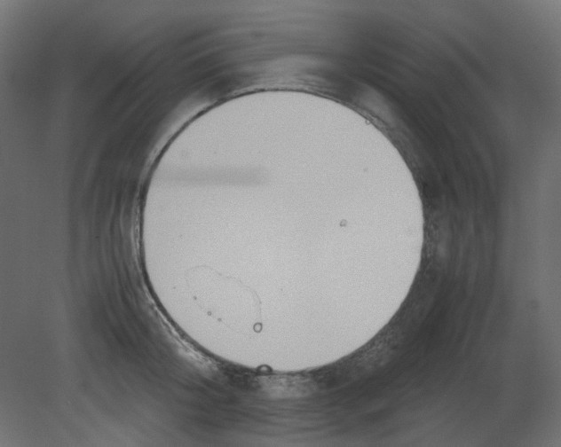 X0000080660804200701121605