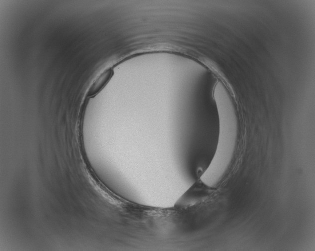 X0000080660805200701121605