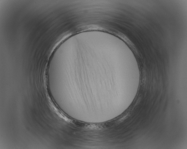 X0000080660806200701121605