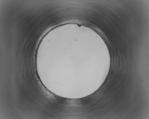 X0000080660808200701121605