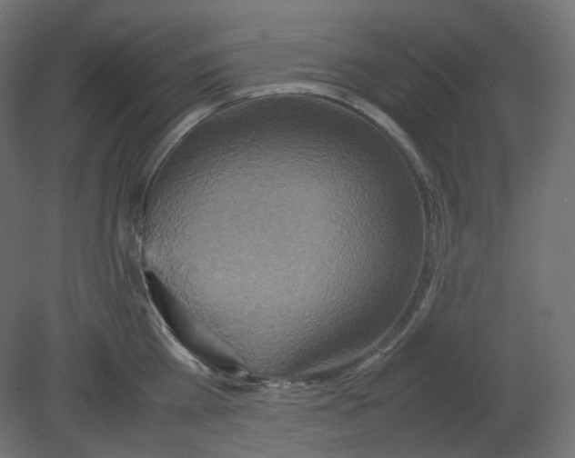 X0000080660809200701121605