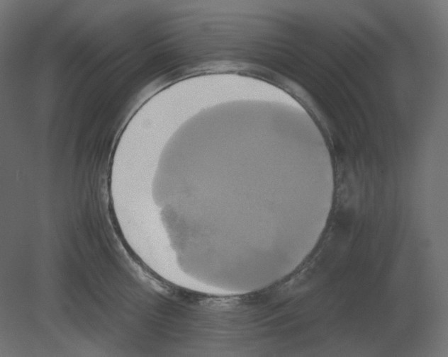 X0000080660810200701121605