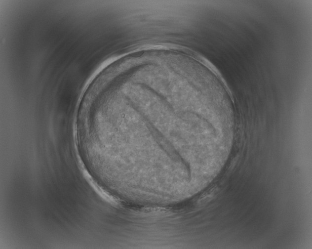 X0000080660811200701121605