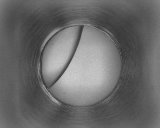 X0000080660812200701121605