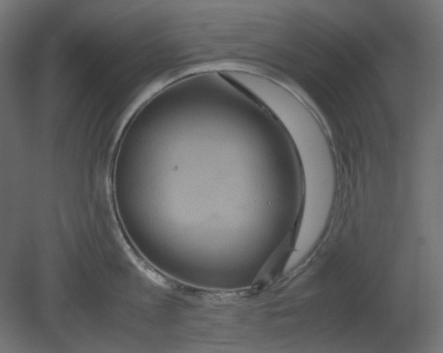 X0000080660813200701121605