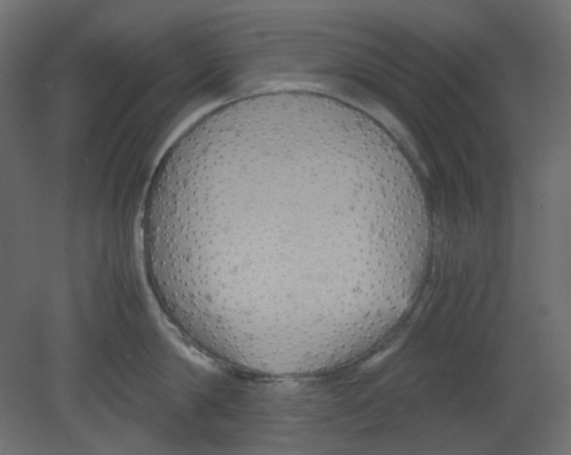 X0000080660814200701121605