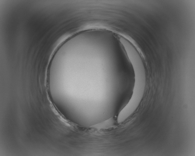 X0000080660815200701121605