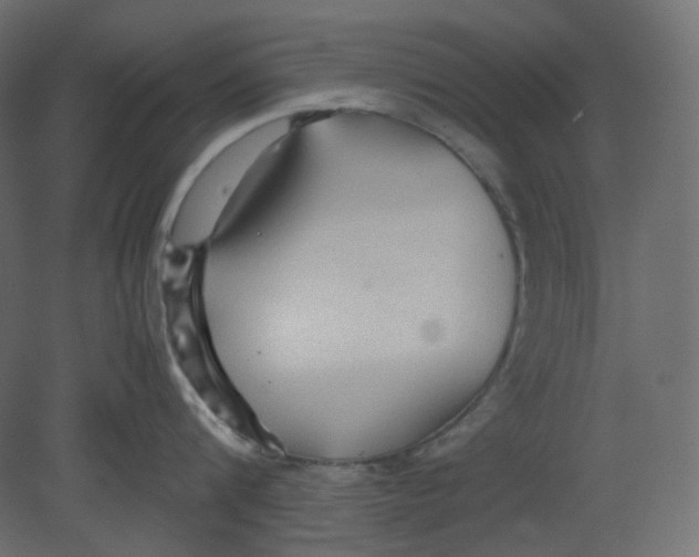 X0000080660816200701121605