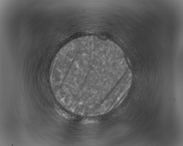 X0000080660817200701121604