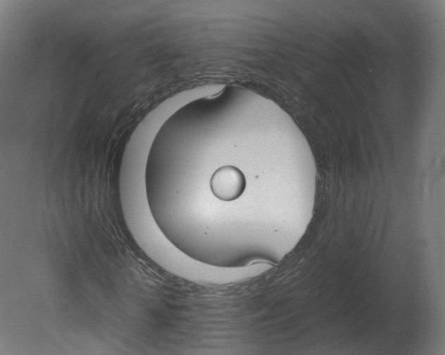 X0000080660818200701121604