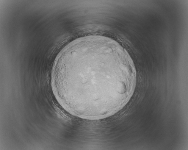 X0000080660820200701121604