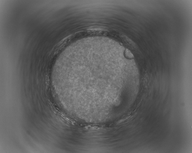 X0000080660821200701121604