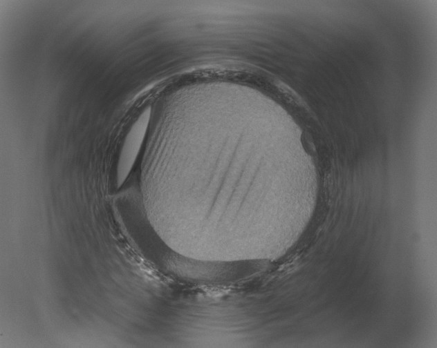 X0000080660822200701121604