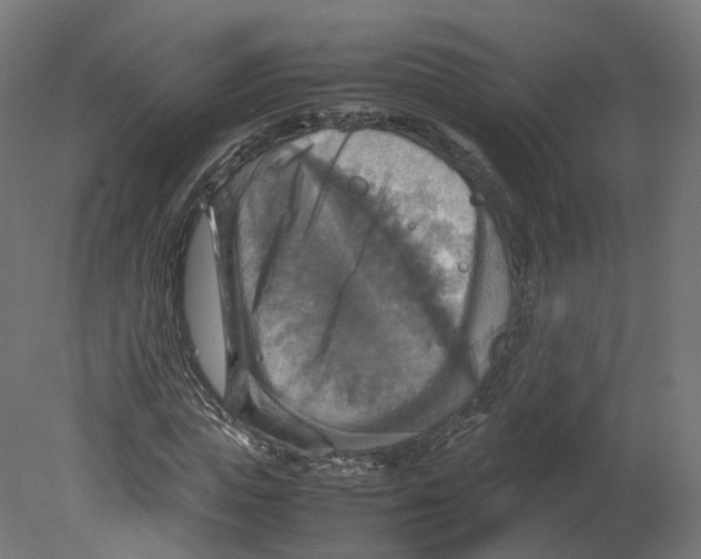 X0000080660823200701121604